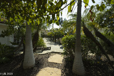 Enlarge photo 30