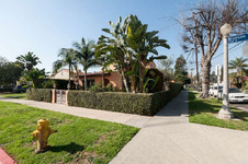 Enlarge photo 3