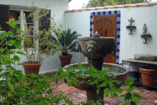 Enlarge photo 2