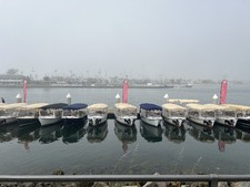 Enlarge photo 43