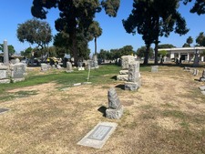 Enlarge photo 10