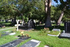 Enlarge photo 13