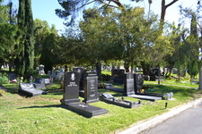 Enlarge photo 14