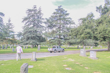 Enlarge photo 19