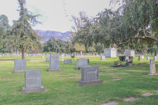 Enlarge photo 20
