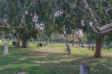 Enlarge photo 21