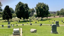 Enlarge photo 14