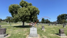 Enlarge photo 20