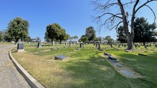 Enlarge photo 23