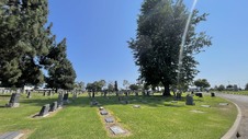 Enlarge photo 25