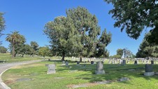 Enlarge photo 26