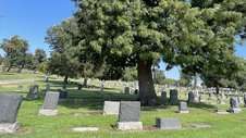 Enlarge photo 27