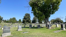 Enlarge photo 28