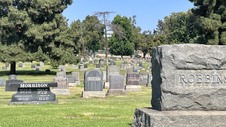 Enlarge photo 29