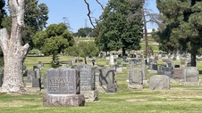 Enlarge photo 30