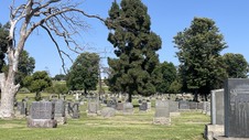 Enlarge photo 31