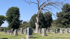 Enlarge photo 32