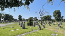 Enlarge photo 35