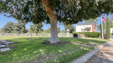 Enlarge photo 37