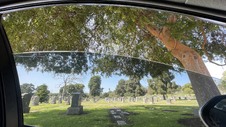 Enlarge photo 38