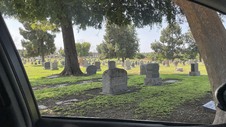 Enlarge photo 43