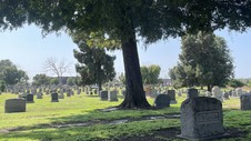 Enlarge photo 44