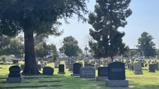 Enlarge photo 45
