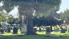 Enlarge photo 46