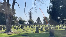 Enlarge photo 47