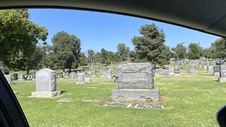 Enlarge photo 49