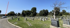 Enlarge photo 50