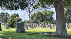 Enlarge photo 51