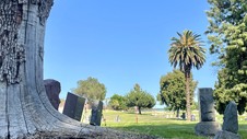Enlarge photo 55