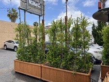Enlarge photo 14
