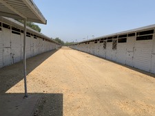 Enlarge photo 18