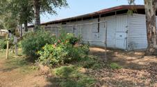LA Equestrian Center - Show Stalls