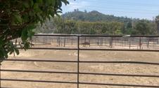LA Equestrian Center - Regular Stalls