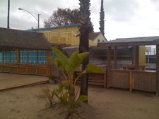 Enlarge photo 2