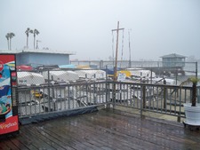 Enlarge photo 34