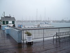Enlarge photo 41