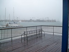 Enlarge photo 42