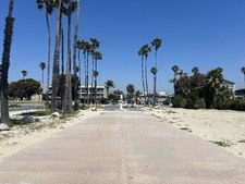 Rosie's Dog Beach