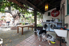 Enlarge photo 94