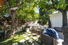 Enlarge photo 54