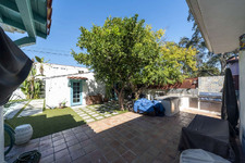 Enlarge photo 65