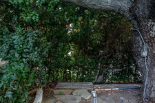 Enlarge photo 111