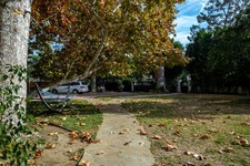 Enlarge photo 117