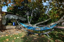 Enlarge photo 121