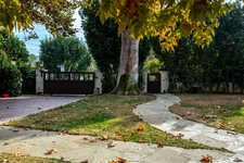 Enlarge photo 122