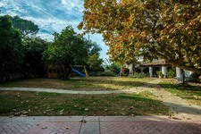Enlarge photo 126